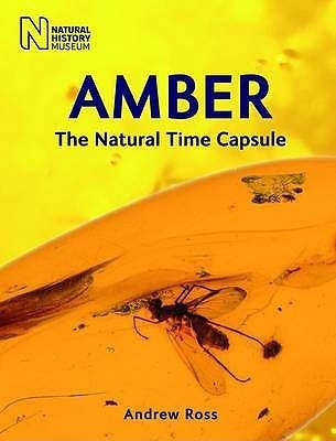 Amber(English, Paperback, Ross Andrew)