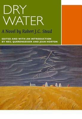Dry Water(English, Paperback, Stead Robert J.C.)