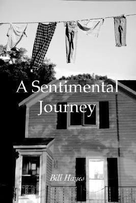 A Sentimental Journey(English, Paperback, Hayes Bill)