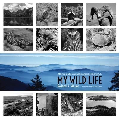 My Wild Life(English, Paperback, Wauer Roland H.)