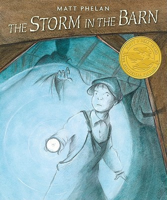 The Storm in the Barn(English, Paperback, Phelan Matt)