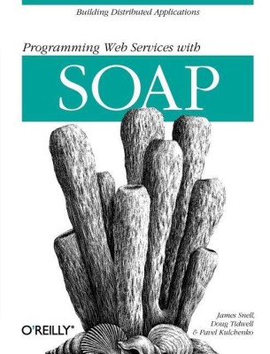 Programming Web Services with SOAP(English, Paperback, Snell James)