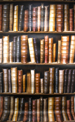 

Wallplays Red Library Wallpaper - 1000 g