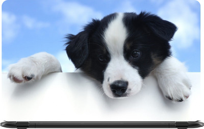 

Lapower Puppy with black and white face Vinyl Laptop Decal 15.6