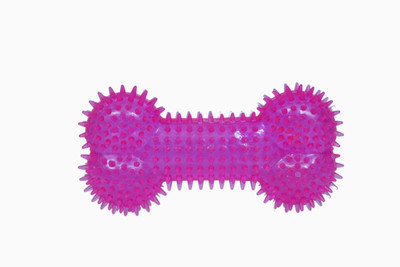 

GINIPET SPIKE BONE Rubber Chew Toy, Fetch Toy, Tough Toy, Squeaky Toy, Bone, Tug Toy, Training Aid, Rubber Toy For Dog & Cat