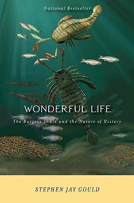 Wonderful Life(English, Paperback, Gould Stephen Jay)