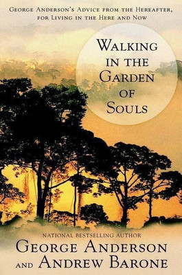 Walking in the Garden of Souls(English, Paperback, Anderson George)