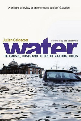 Water  - The Causes, Costs, and Future of a Global Crisis(English, Paperback, Caldecott Julian)