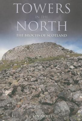 Towers in the North(English, Paperback, Armit Ian)