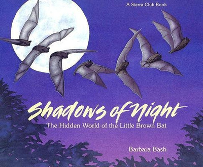 Shadows of Night(English, Paperback, Bash Barbara)