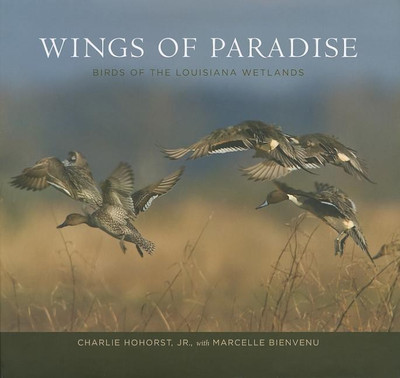 Wings of Paradise(English, Hardcover, Jr Charlie Hohorst)