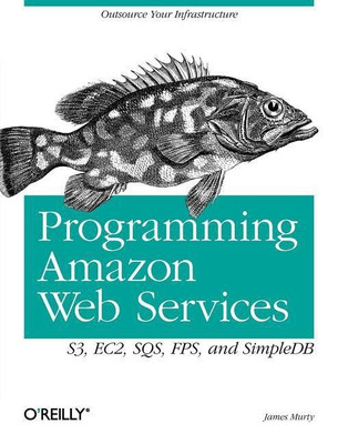 Programming Amazon Web Services(English, Paperback, Murty James)