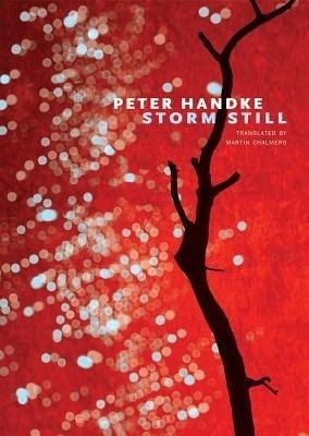 Storm Still(English, Hardcover, Handke Peter)