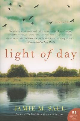 Light of Day(English, Paperback, Saul Jamie M)