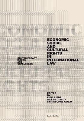 Economic, Social, and Cultural Rights in International Law(English, Hardcover, unknown)