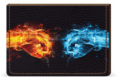 

Etechnic 10 Card Holder(Set of 1, Multicolor)