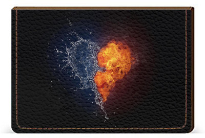 

Etechnic 10 Card Holder(Set of 1, Multicolor)