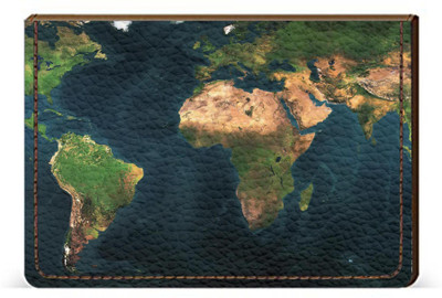 

Etechnic 10 Card Holder(Set of 1, Multicolor)