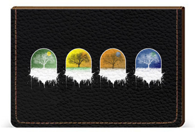 

Etechnic 10 Card Holder(Set of 1, Multicolor)