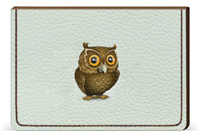 

Etechnic 10 Card Holder(Set of 1, Multicolor)
