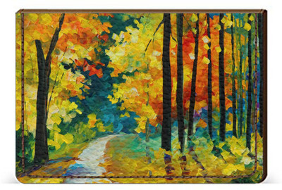 

Etechnic 10 Card Holder(Set of 1, Multicolor)