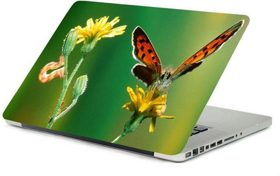 PrintHunt MULTICOLOR Laptop Skin Sticker 3 MM VINYL LAPTOP STICKERS-0081 Vinyl Laptop Decal 15.6