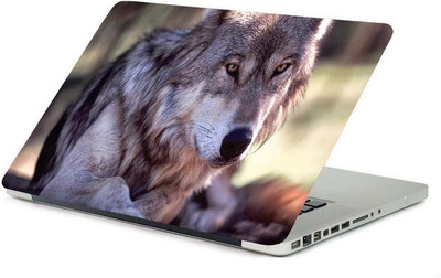 

PrintHunt MULTICOLOR Laptop Skin Sticker 3 MM VINYL LAPTOP STICKERS-0281 Vinyl Laptop Decal 15.6