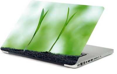 

PrintHunt MULTICOLOR Laptop Skin Sticker 3 MM VINYL LAPTOP STICKERS-0038 Vinyl Laptop Decal 15.6