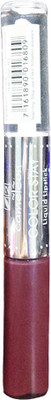 

Cameleon Color Stay Liquid Lipstick(Purple, 4.5 g)