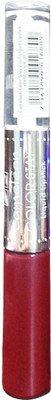 

Cameleon Color Stay Liquid Lipstick(Rich Red, 4.5 g)