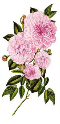 hitler germany Tree Flowers Temp Tattoos(Tree Flowers Temp Tattoos)