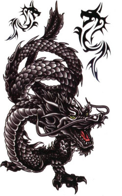 

hitler germany Dragon Snake Temp Tattoo(Dragon Snake Temp Tattoo)