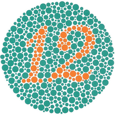 

visioncareindia 38 plates Vision Test Chart(Snellen)