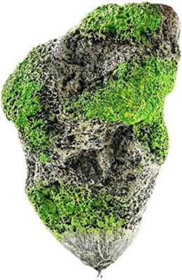 

Aquapetzworld Floating Artificial Rock (Medium) Laterite Planted Substrate(Multicolor)