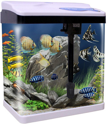 

JAINSONS PET PRODUCTS Fish Aquarium Combo Tank (T-720F, Capacity-14L) Tank Size (LxWxH): 29x19x34 cm Rectangle Aquarium Tank(14)