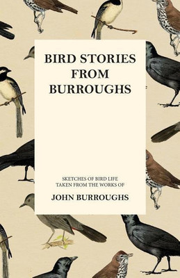 Bird Stories from Burroughs - Sketches of Bird Life Taken from the Works of John Burroughs(English, Paperback, Burroughs John)