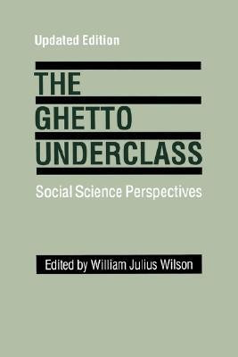 The Ghetto Underclass(English, Paperback, unknown)