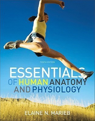 Essentials of Human Anatomy & Physiology(English, Paperback, Marieb Elaine N.)