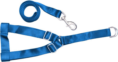 

Loving Pets Dog Collar & Leash(, Blue