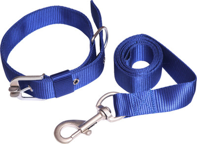 

Loving Pets Dog Collar & Leash(, Blue