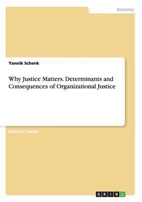 Why Justice Matters. Determinants and Consequences of Organizational Justice(English, Paperback, Schenk Yannik)