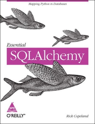 Essential Sqlalchemy(English, Paperback, Copeland Rick)