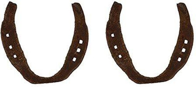 

Aryshaa DG50125 Horseshoe(medium)
