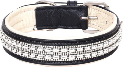 

PETSTAR Dog Everyday Collar(, Black