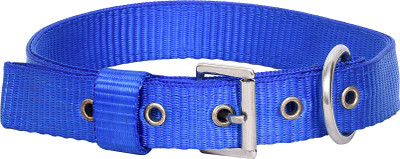 

PETSTAR Dog Everyday Collar(, Blue
