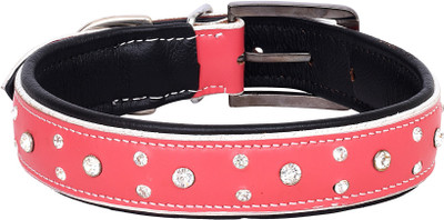 

PETSTAR Dog Everyday Collar(, Pink