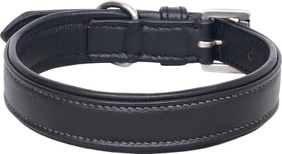 

PETSTAR Dog Everyday Collar(, Black