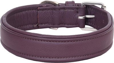 

PETSTAR Dog Everyday Collar(, Brown