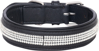 

PETSTAR Dog Everyday Collar(, Black