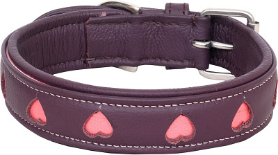 

PETSTAR Dog Everyday Collar(, Brown